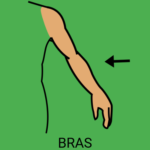 Bras