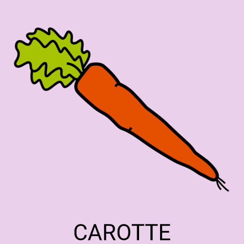 Carotte