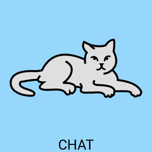 Chat