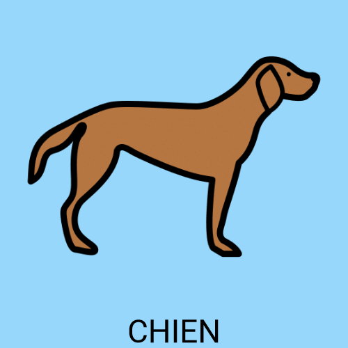 Chien