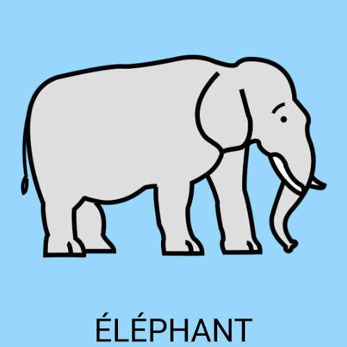 Éléphant