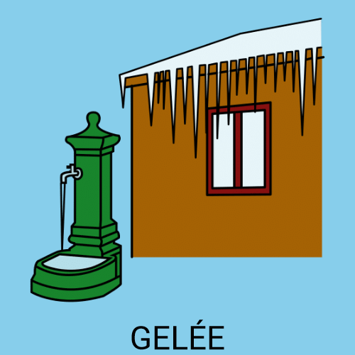 Gelée