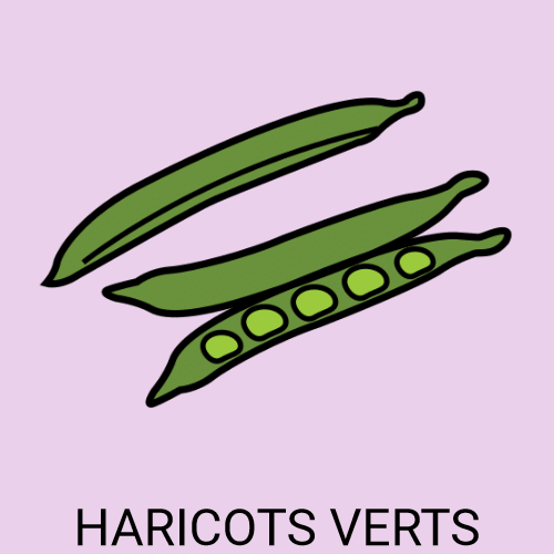 Haricots verts