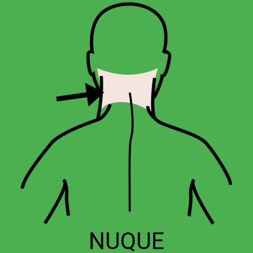 Nuque