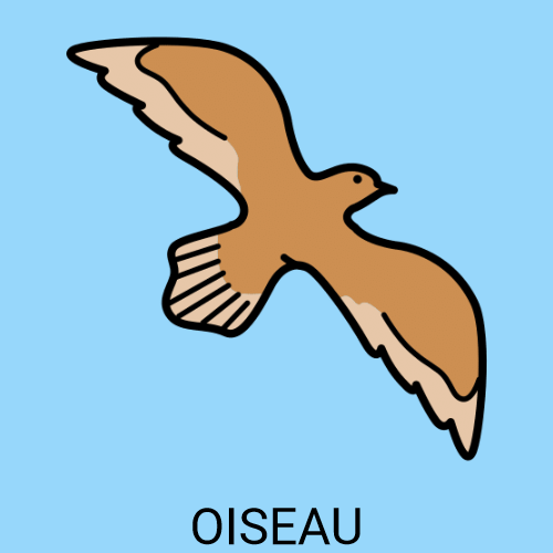 Oiseau