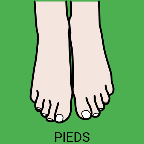 Pieds